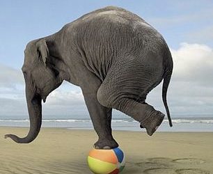 Finding YOUR Balance